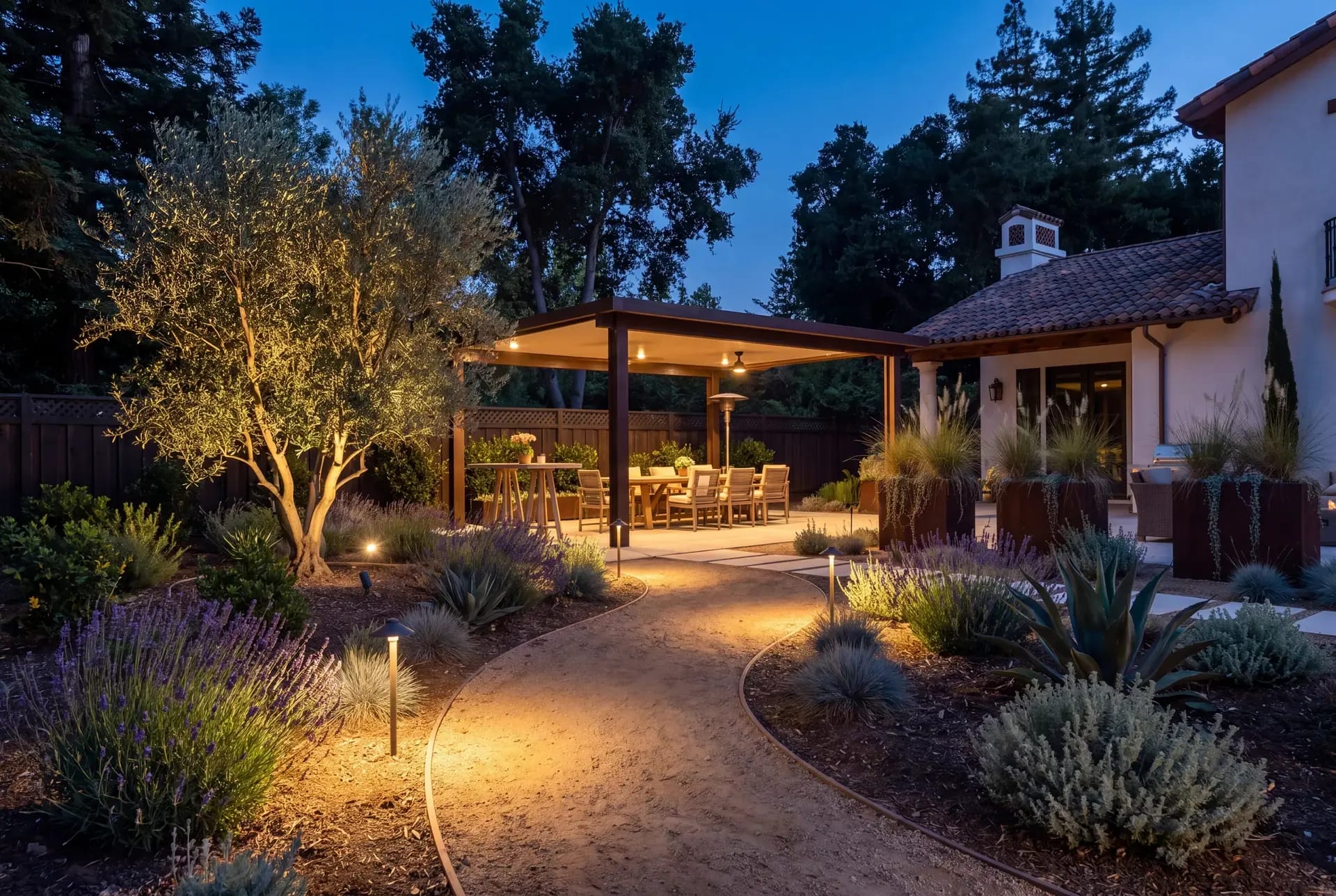 A South Bay backyard at dusk with warm path lights, shielded pergola downlights, and a softly uplighted olive tree