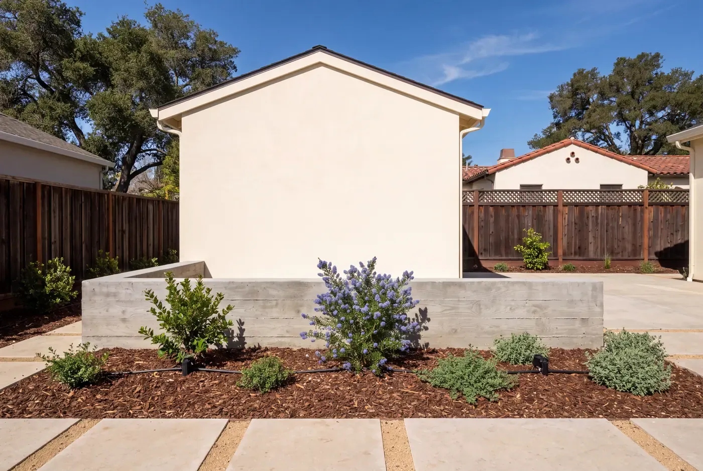 Foundation planting at the base of an ADU with drip irrigation emitters, young native shrubs establishing in brown mulch