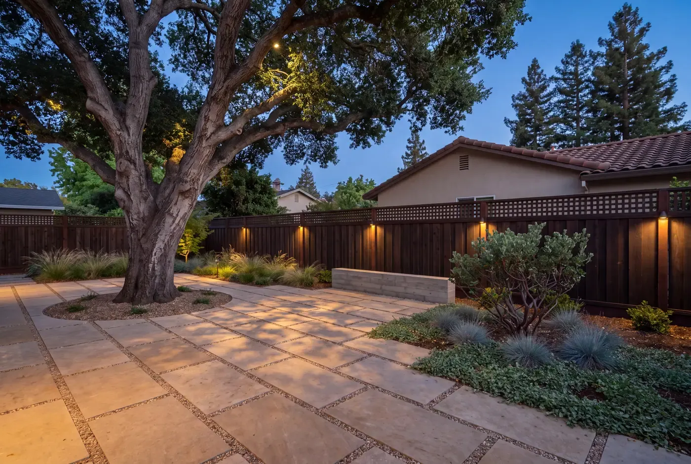 A permeable paver patio meets the root flare of a mature coast live oak, dappled canopy light above