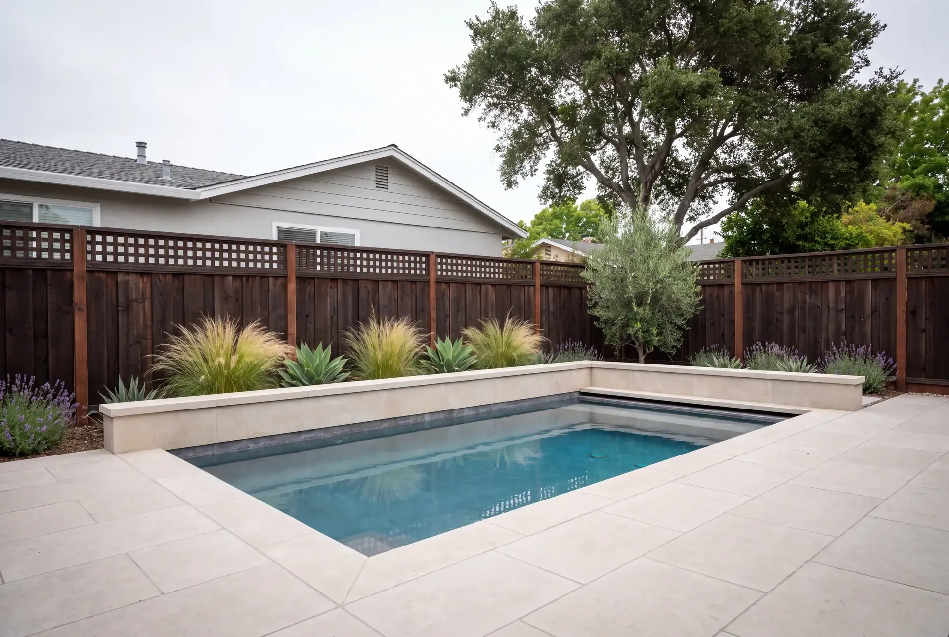 Compact Bay Area backyard with a limestone-decked plunge pool along one side